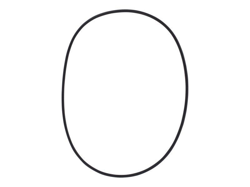 0634306198 O-Ring,17 X 2,N 744 | ZF