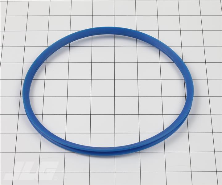 0734317404 V-Ring | ZF