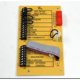 Lochinvar & A.O. Smith 100208499 Connection Board