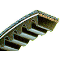 82" BX V-Belt Type BX79 Notched Bestorq