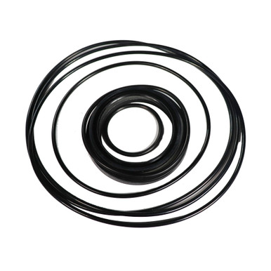 BMSY Motor: Seal Kit