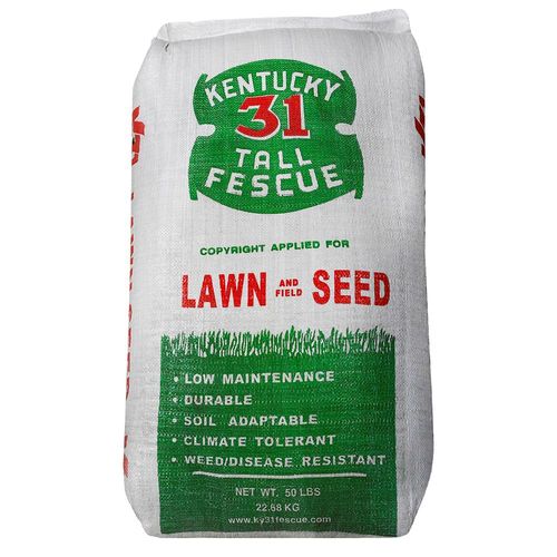 Kentucky 31 Tall Fescue (50 Lb. Bag)