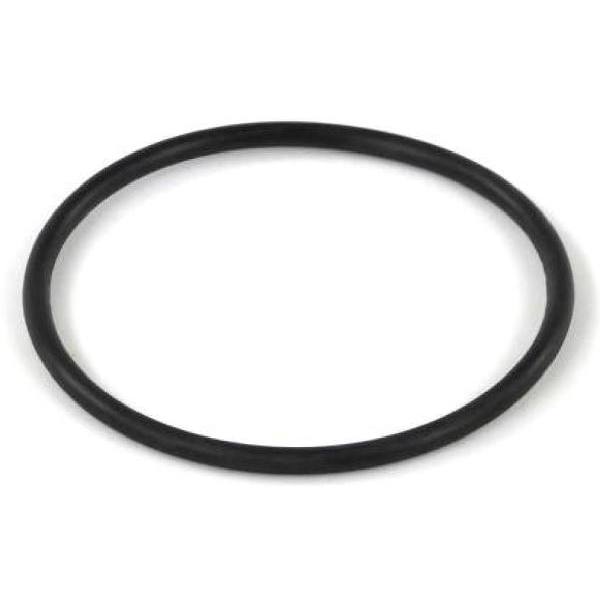 Seasons Pump O-Ring Gasket Mid12676000000787