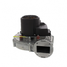 Weil McLain 383-900-039 Blower EVG 220,299/300,399