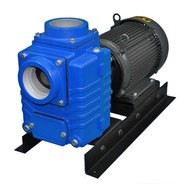 AMT 487195 4 in. Cast Iron Self-Priming Centrifugal Pump