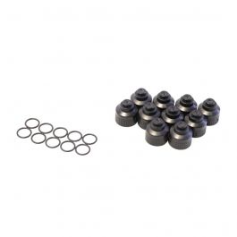 Emerson Flow Control (Alco) 806770 BVE Locking Seal Cap 10-Pack