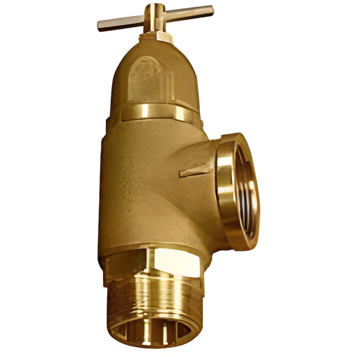 TeeJet 1101DI Pressure Relief Valve, Ductile Iron, 1" Female NPT, 150 PSI