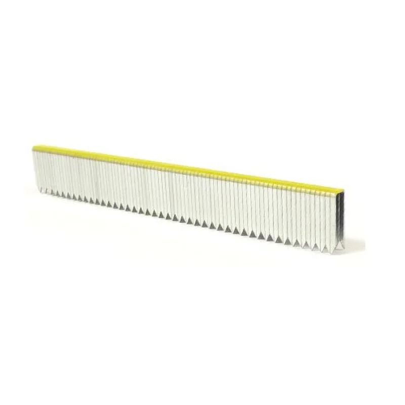 9/16″ Leg x 3/16″ Crown 20GA Galvanized 5418D Staples 50M ProPak