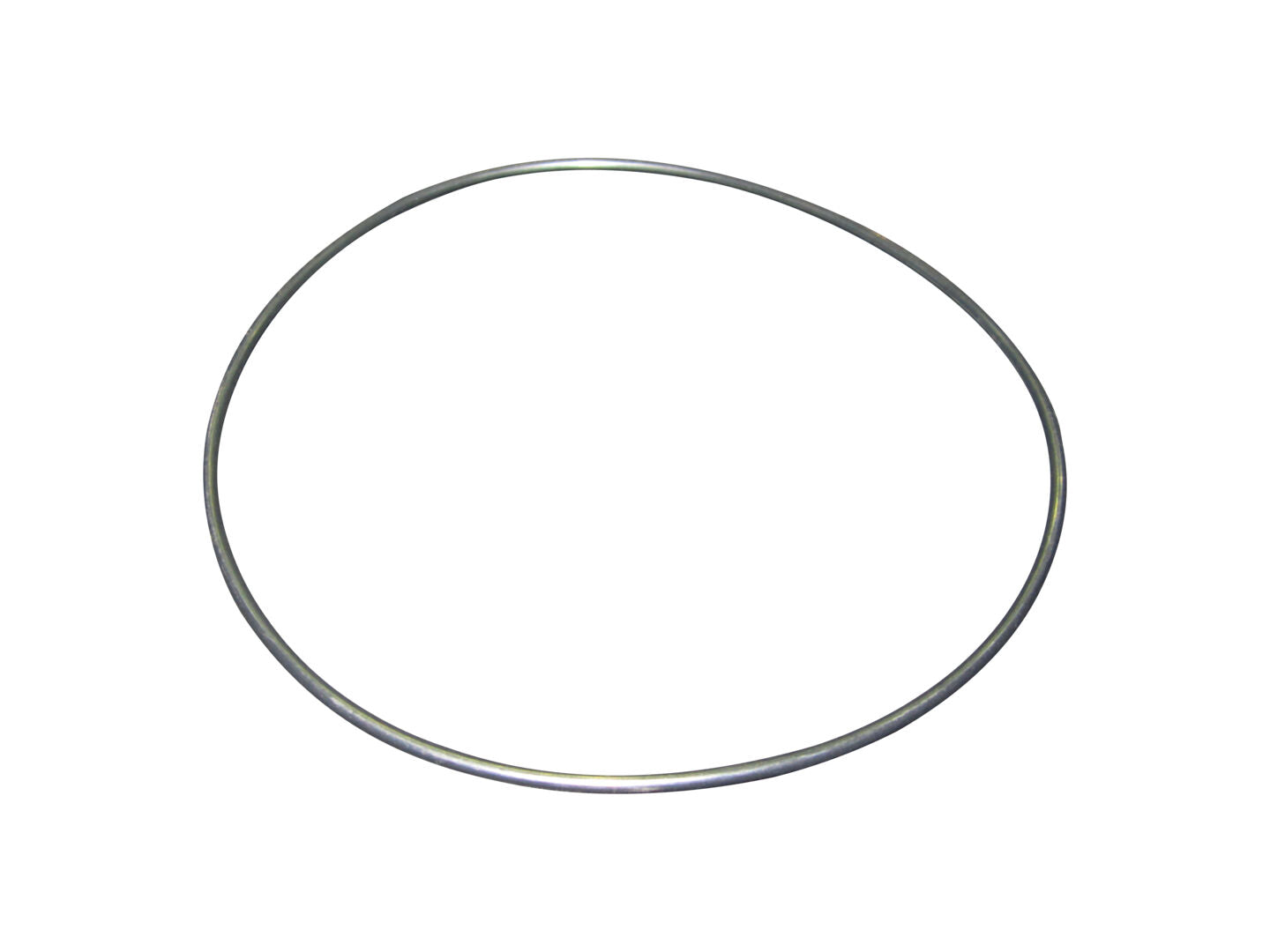 070HH202 O-Ring | Dana