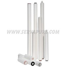 Harmsco Pleated Teflon Membrane Cartridge, 0.2 Micron, 30 Inch Length, Case of 6