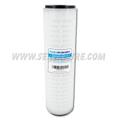 Hydronix AR0020EF1A, Absolute Rated, 2.5" x 10", 0.2 Micron, DOE
