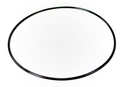 Pentair Closure O-Ring Replacement 154493