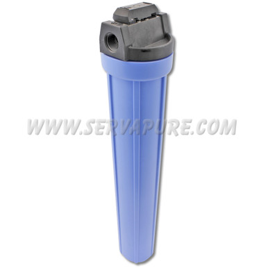 Pentek 150166, Valve-In-Head, 3/4'' In/Out, 20'' Blue/Black