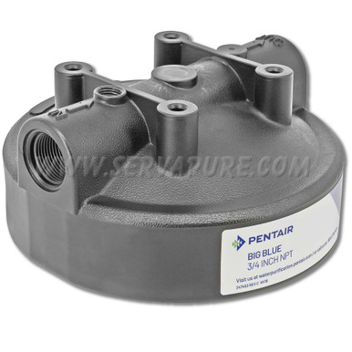 Pentek 154196-ST, 3/4'' Black HFPP Cap Big Blue Housing, for (1) Gauge Ports (Outlet) and PR (Inlet)