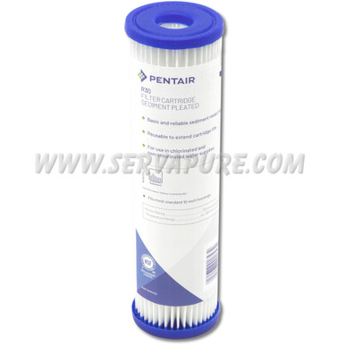 Pentek 155017, R30 Pleated Polyester
