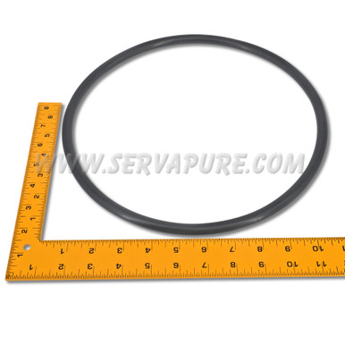 Shelco 10017-B Gasket, Buna