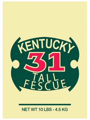 Kentucky 31 Tall Fescue Grass Seed, 10 Lbs., Covers 1,250 Sq. Ft.