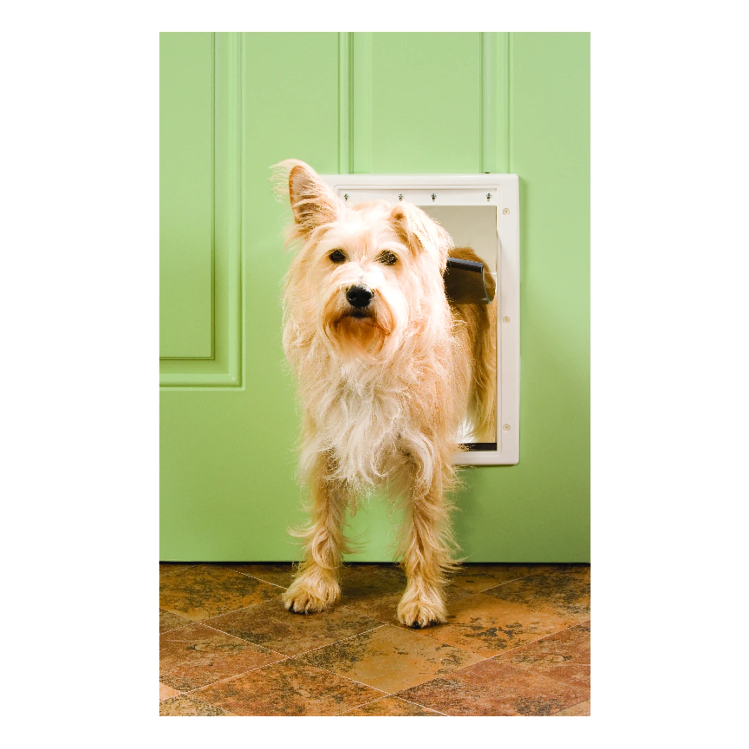 Pet Door, White Plastic, Medium