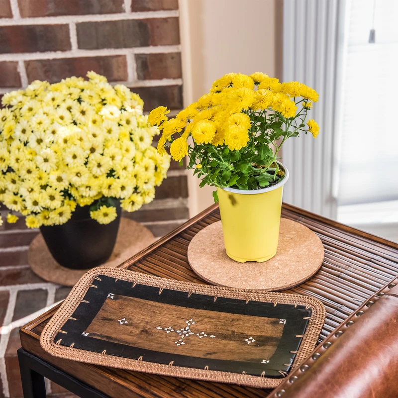 Cork Plant Saucer Mat, 6 In.