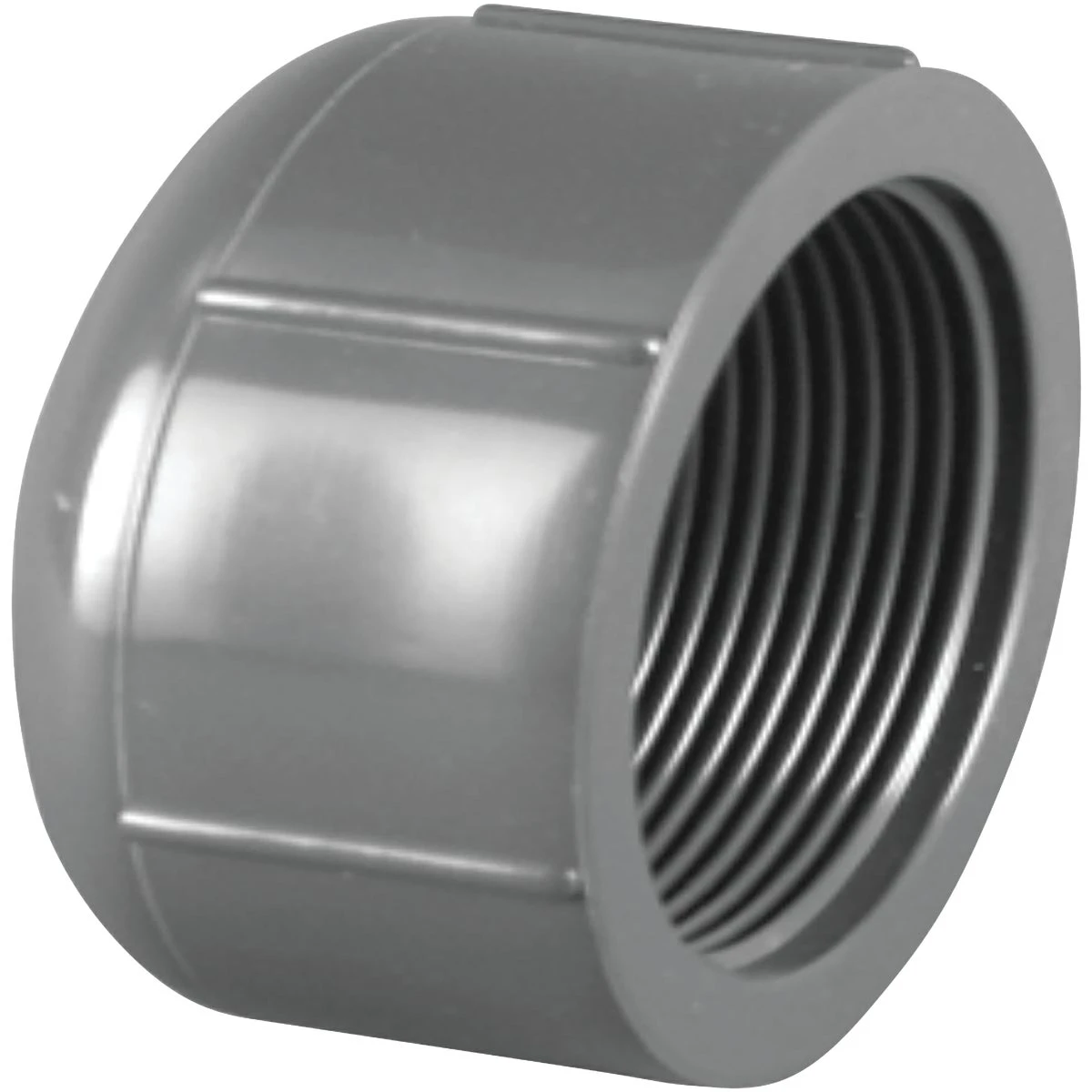 Schedule 80 PVC FPT Cap, 1/2 In.