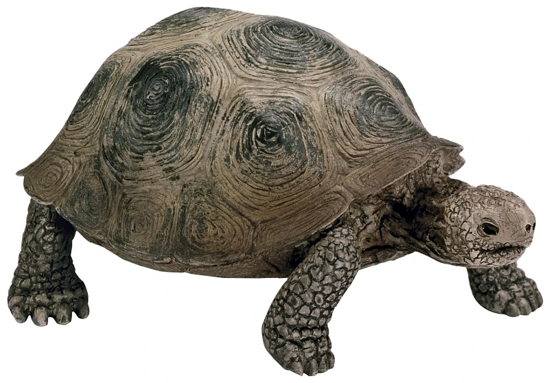 Turtle Toy Animal Figure, Ages 3 & Up