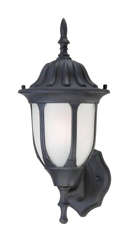 100-Watt Black Aluminum Wall Lantern