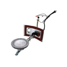Rheem-Ruud AM41730 Burner Assembly