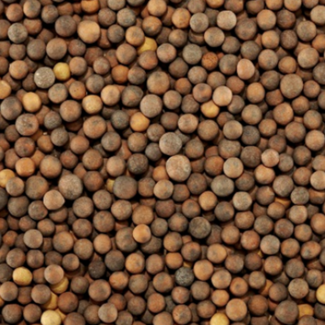 Clariant Envicat 2201 Catalyst - Falco Catalytic Oxidizer Top Off