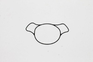 Genie Lift Part # 138077GT - KIT, PUMP SEAL, EA