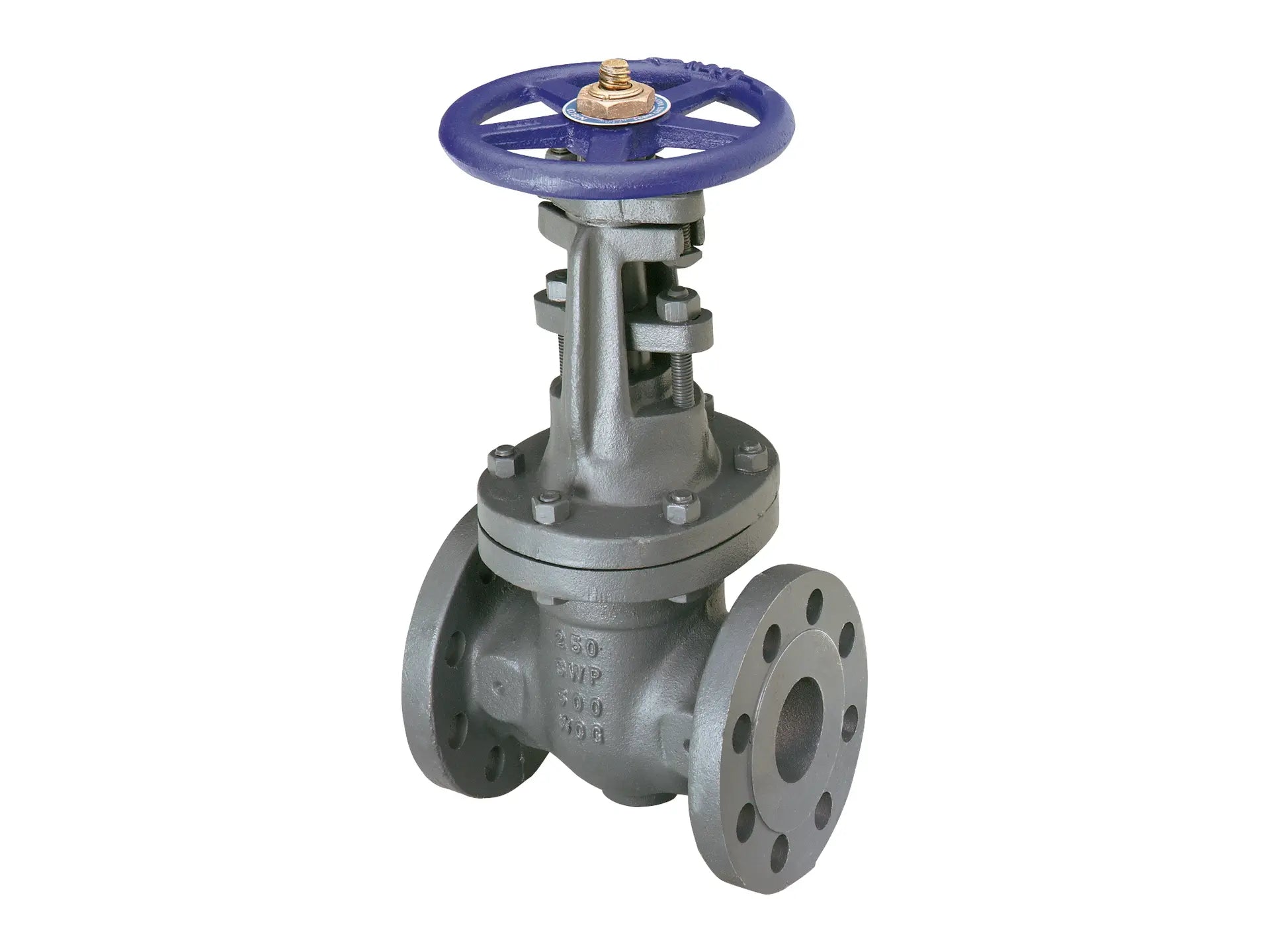 NIBCO NHAW00E, 2-1/2 in. Gate Valve Class 250, Cast Iron, Outside Screw and Yoke, Flanged F-667-O