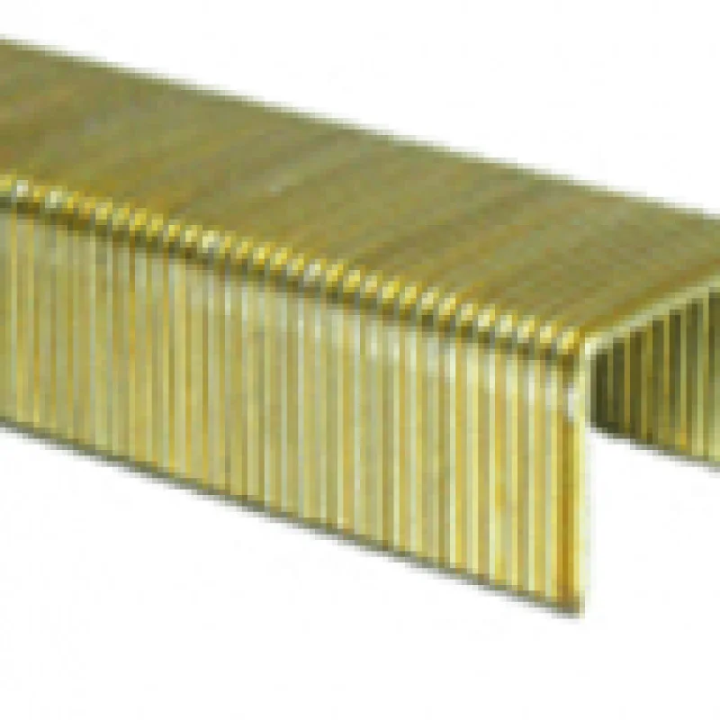 P21 16Ga Staple 1″ Crown 2″ Leg 5M