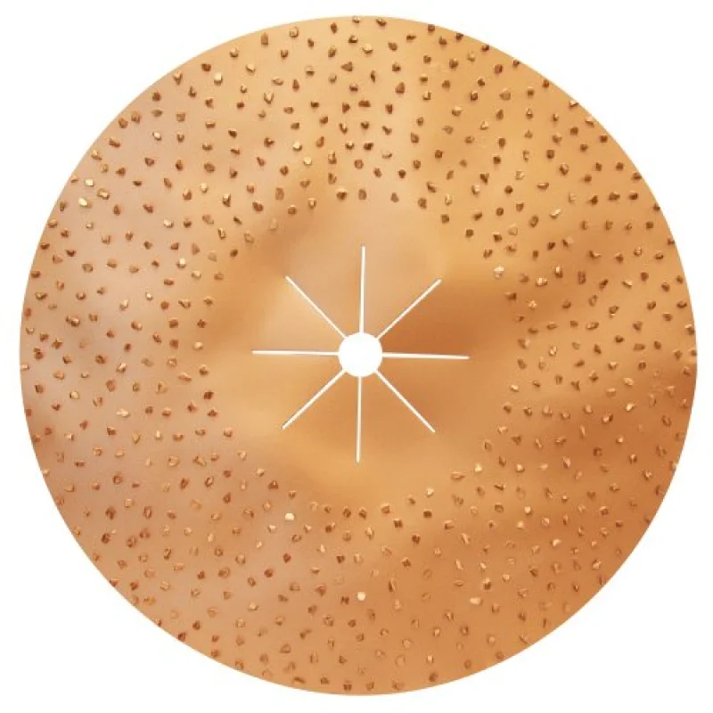 Pearl Abrasive 16″ Hexpin Double-Sided Tungsten Carbide Sanding Disc