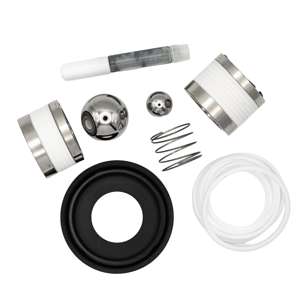 Graco 25D243 Full Repair Kit Replacement